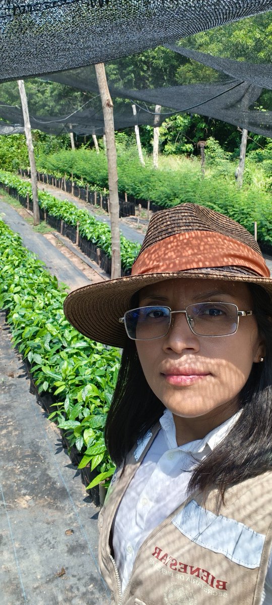 AlidaBelloS's tweet photo. Estamos ya casi listos para iniciar la restauración ecológica 2026.
#Cuautepec #GroSV https://t.co/T6GBBbHL96