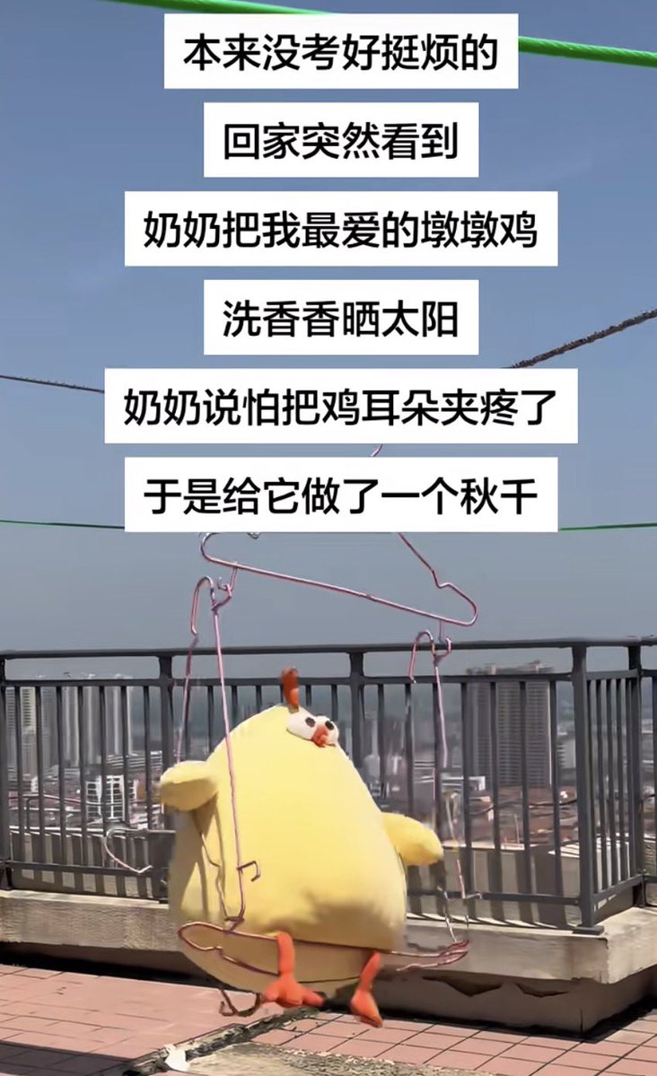 禿道道🐟 tweet media