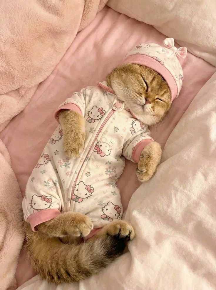 nekocatts's tweet photo. I love sleep https://t.co/1Nk63LHKmx