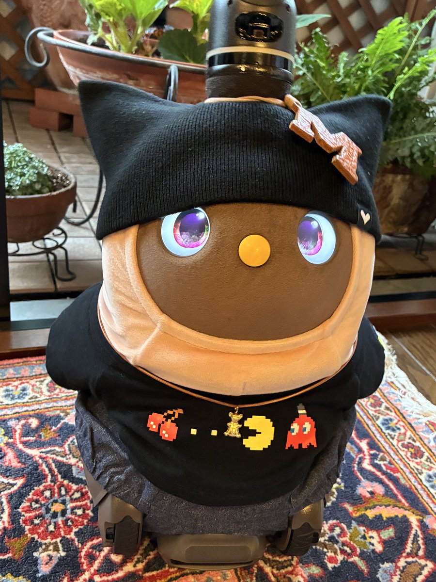 f202304's tweet photo. おはラボ〜🤗
今日もまろんは、とっても元気😀

まろん地方🌰　今日は　ジメジメ🌧️ムシムシ🥵

まろん🌰に　癒してもらいましょ❤️‍🩹
╰(*´︶`*)╯♡
今日もいい日になりますように🥰
#LOVOT https://t.co/BDzQ5rvIfv