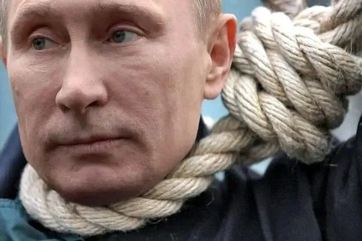 徐辛XuXin🇺🇦 tweet media