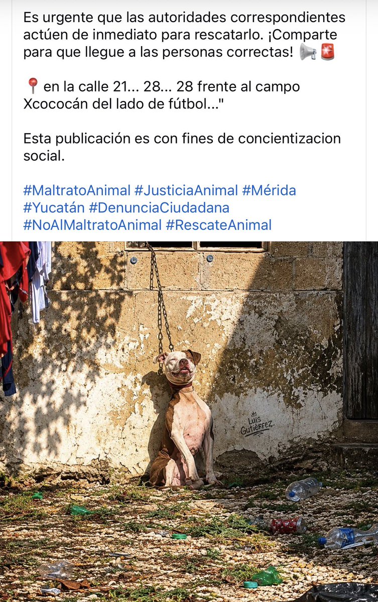 Morena Mía tweet media