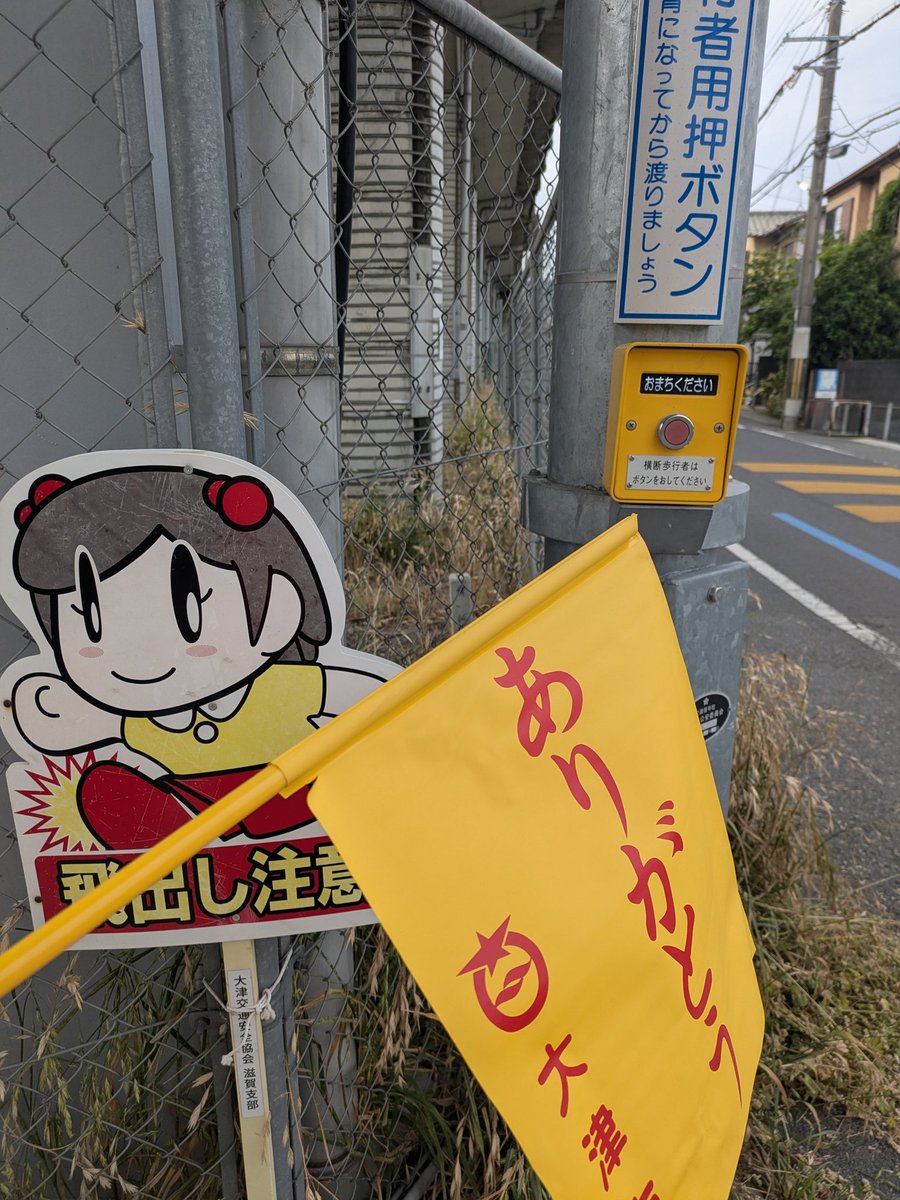nalu_まいにちを唄う人 tweet media