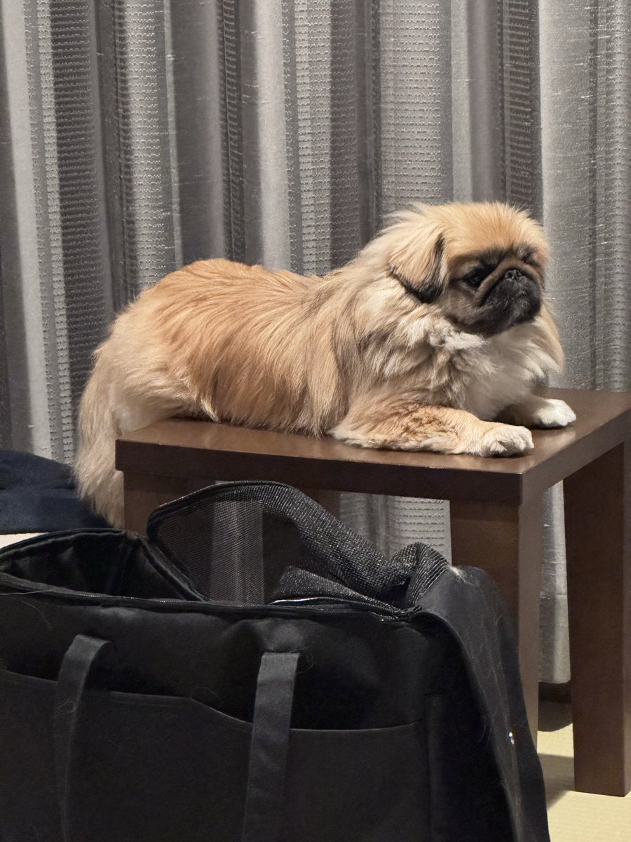 maguritto's tweet photo. 気がついたらそこにいた https://t.co/8Sb6whMf8T
