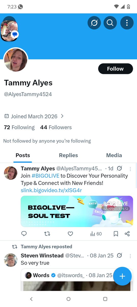 Steven Winstead tweet media