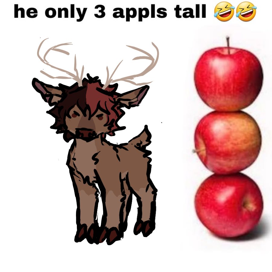 ALDER 🎨🦌 tweet media