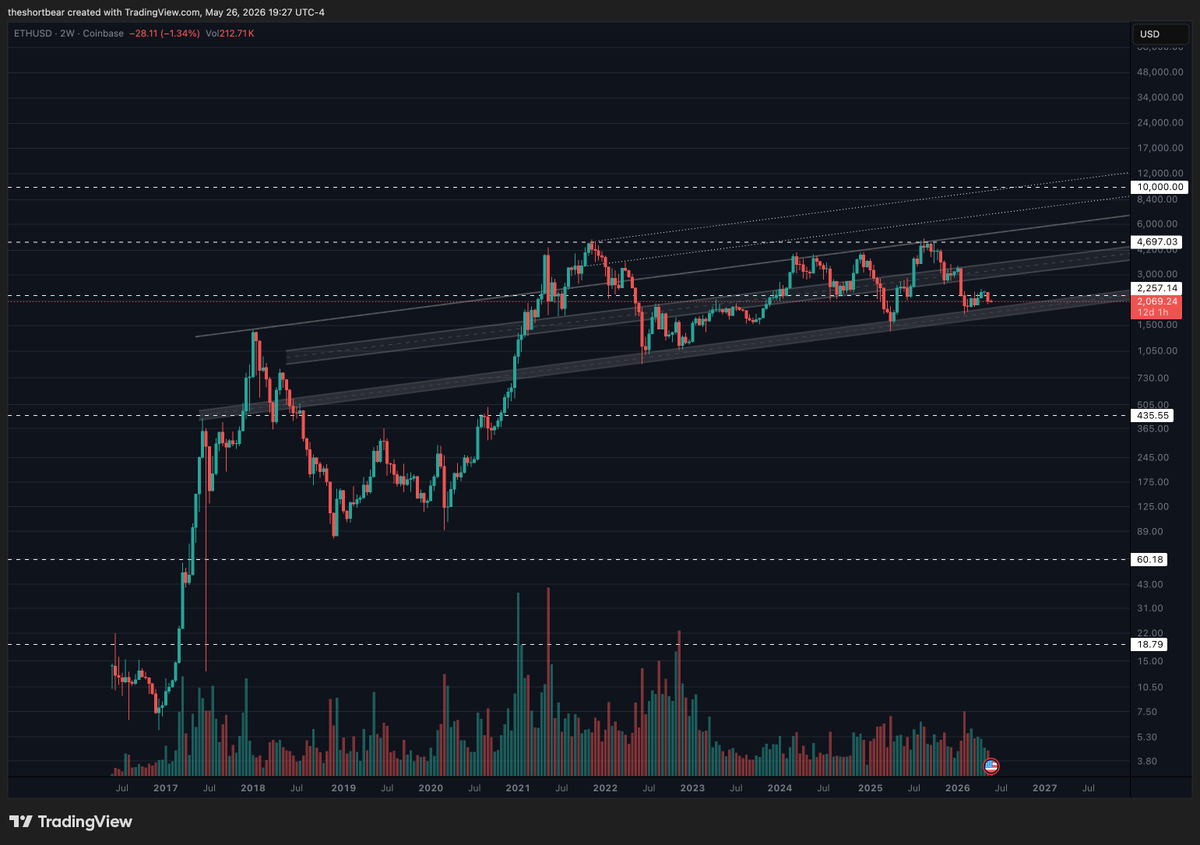 THE SHORT BEAR tweet media