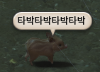 곰탱 tweet media