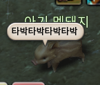 곰탱 tweet media