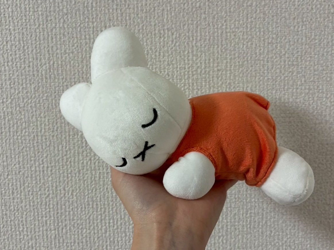 gatawooo's tweet photo. 最近部屋に増えたものたち。愛しいぜ… https://t.co/NQqpR6QvVv