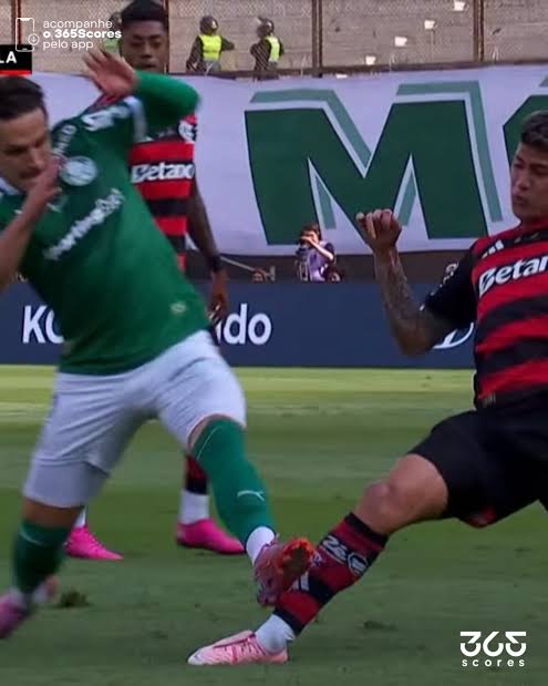 arbo092's tweet photo. @Vitor_Juneo COITADINHO DO PALMEIRAS! https://t.co/QXY0JTWFLb