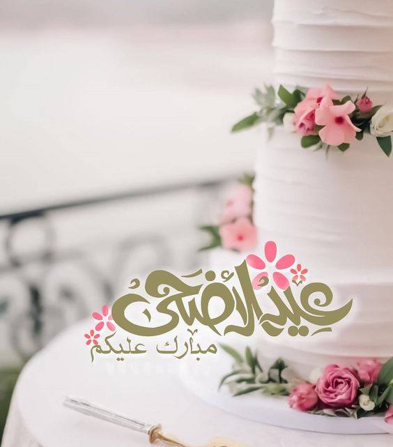 Nour 🕊️ tweet media