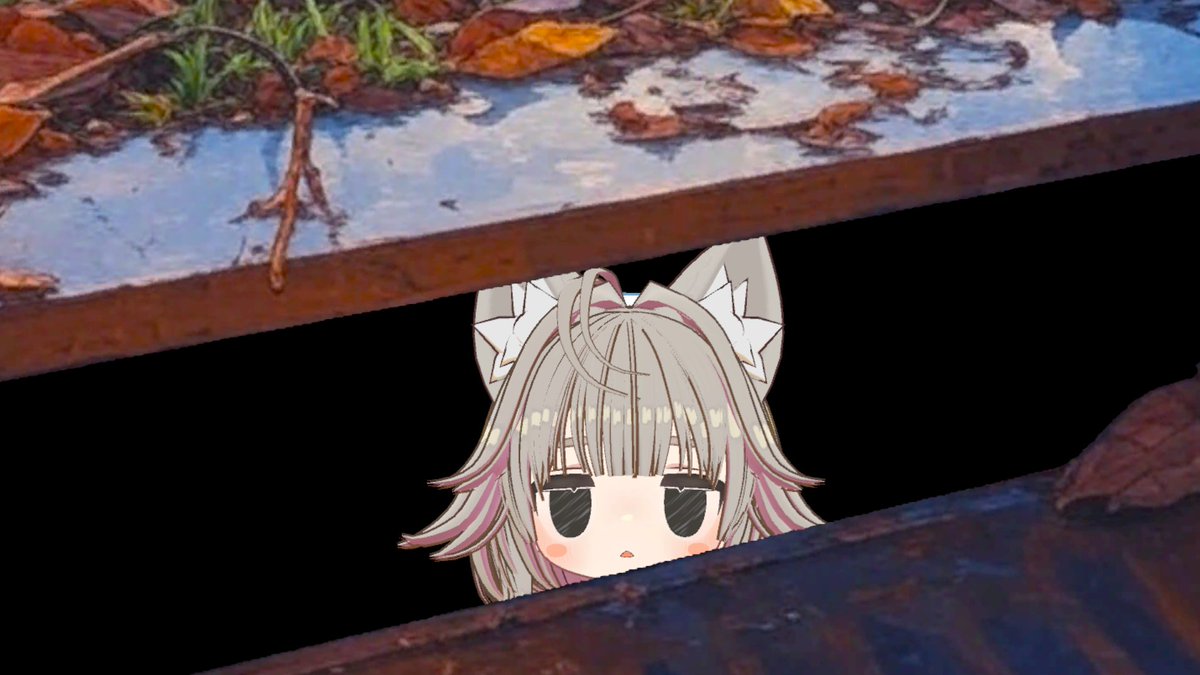 ねこねこ (@iUCCXndyEli4Lkx) / Posts / X