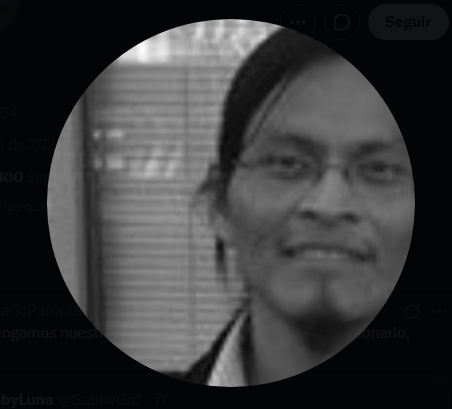 GabbyLuna tweet media