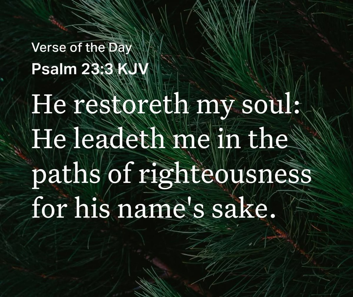 Godwakeupcall's tweet photo. #Verse4Today

Psalm 23:3 KJV
He restoreth my soul: He leadeth me in the paths of righteousness for His name's sake.
---------  

https://t.co/kzEC5b43Bf #RightlyDivideTheWordOfTruth #LessonStudy #Devotionals 

https://t.co/VmjAPhfFZz https://t.co/TEHmD6YTDF