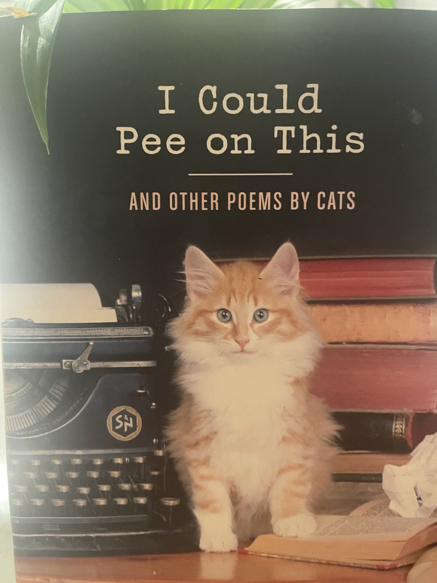 securitybrew's tweet photo. Seems like an appropriate post after a martini with a cat-person friend https://t.co/WQGOgF5SMP