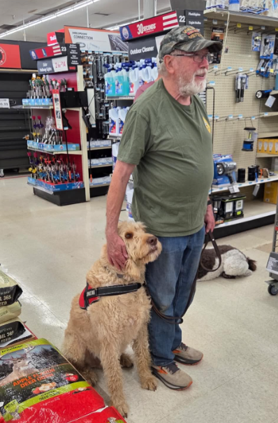 84DogsHelp tweet picture