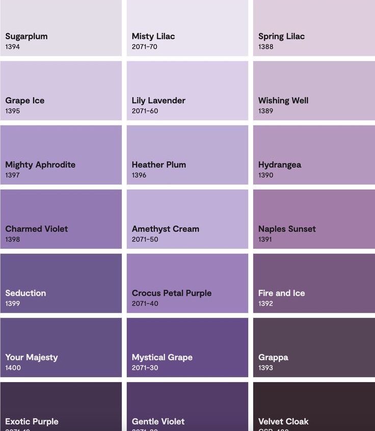 violet✧*。 tweet media
