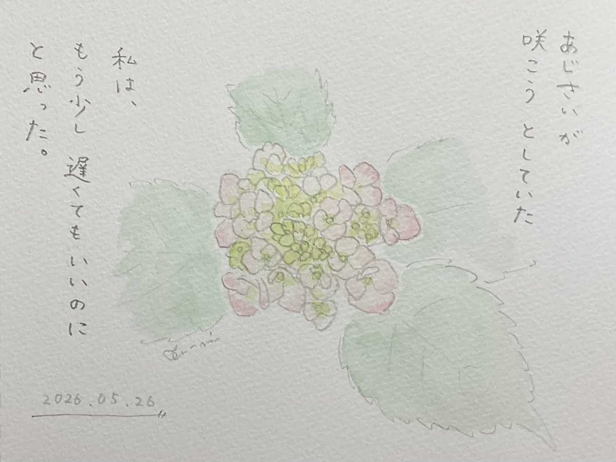 ふーみん (@tatsuka_ft) / Posts / X