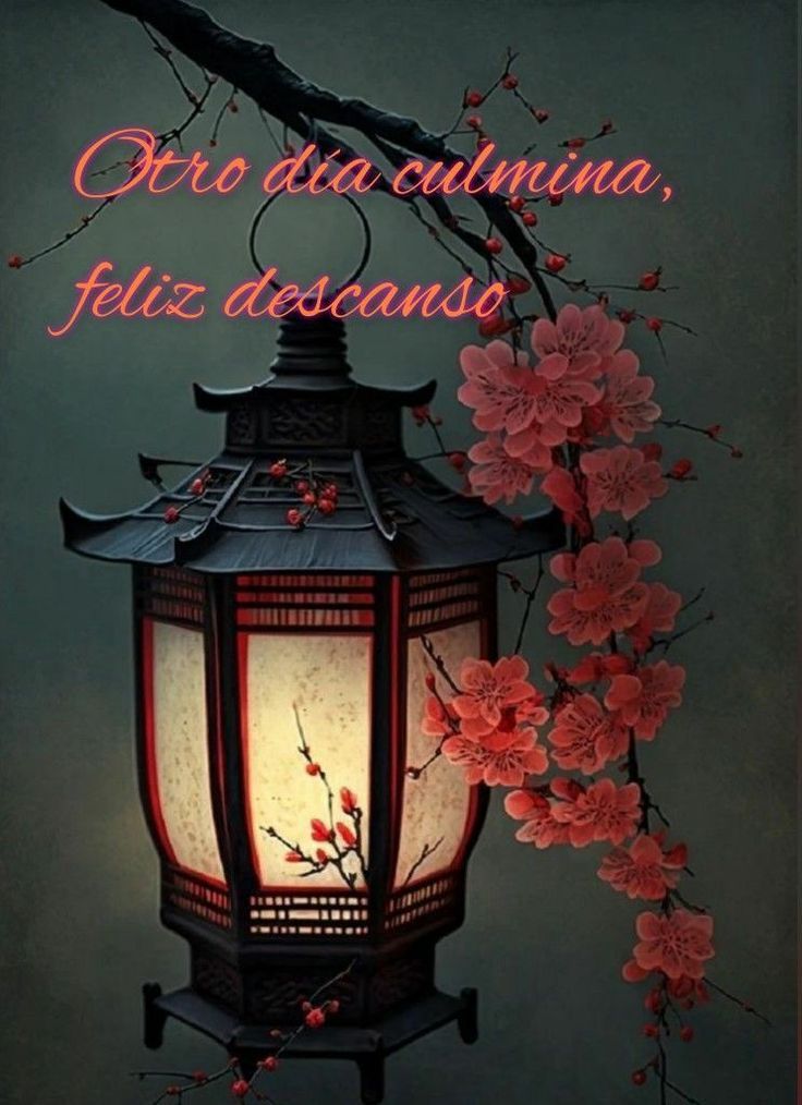 Tania Mara 2 tweet media