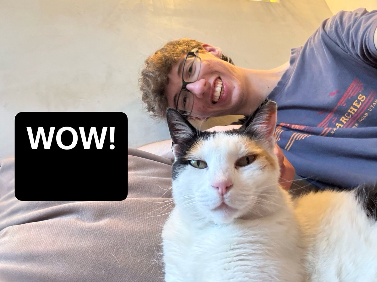 VoltrixAce's tweet photo. That’s a cat! https://t.co/7Ltb4gWsRo