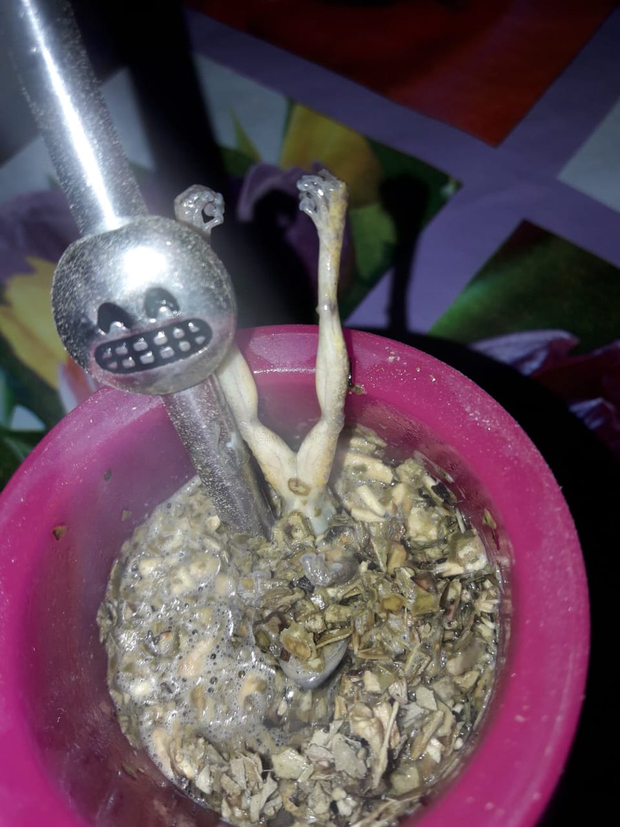 pmp_1978's tweet photo. una amiga de mi hermana estuvo tomando mate de rana y sin darse cuenta, nuevo miedo desbloqueado https://t.co/pk9a7hjSpG