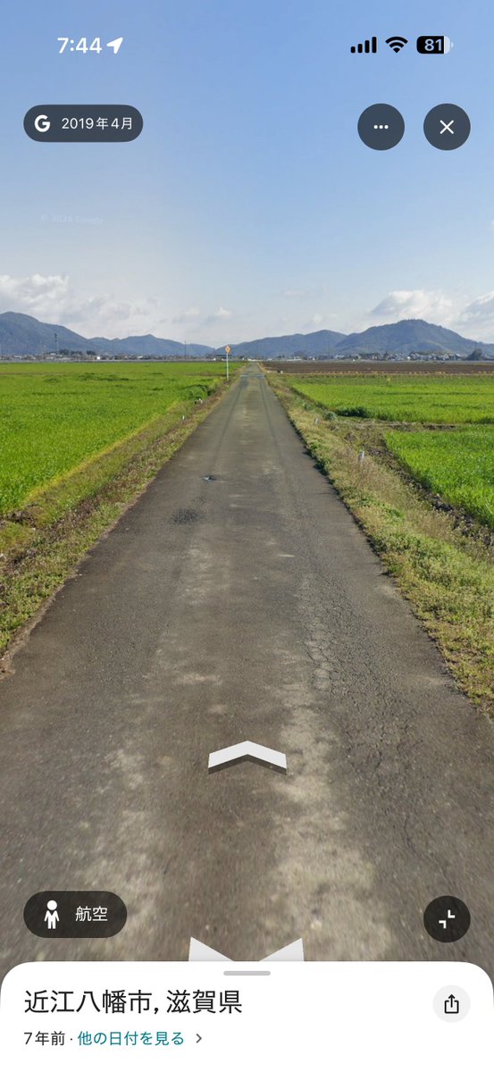 旅犬 tweet media