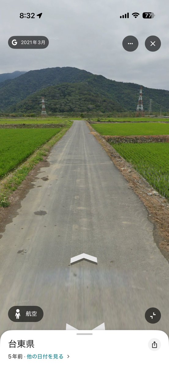旅犬 tweet media