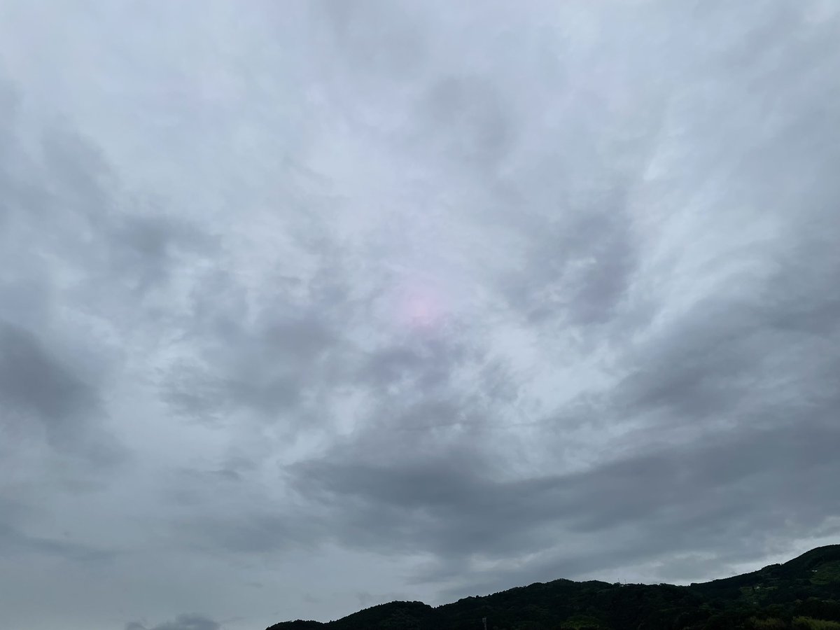 びすまるく びすまるく tweet media