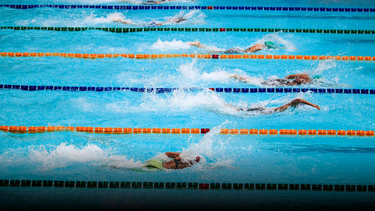 GonzaloBaute's tweet photo. ¡Enhorabuena, Barranquilla! 🏊🌎

En abril y mayo de 2027, nuestra ciudad recibirá a más de 1.500 atletas de 45 países para el evento de deportes acuáticos MÁS IMPORTANTE del continente.

Serán siete disciplinas en una competencia internacional que impulsará el turismo, el empleo y la economía de nuestra ciudad.

Ya lo demostramos en 2018 con los Juegos Centroamericanos y del Caribe, y hoy seguimos consolidándonos como capital del deporte en Colombia. 

¡Felicitaciones, alcalde @AlejandroChar ! 🔵🟡