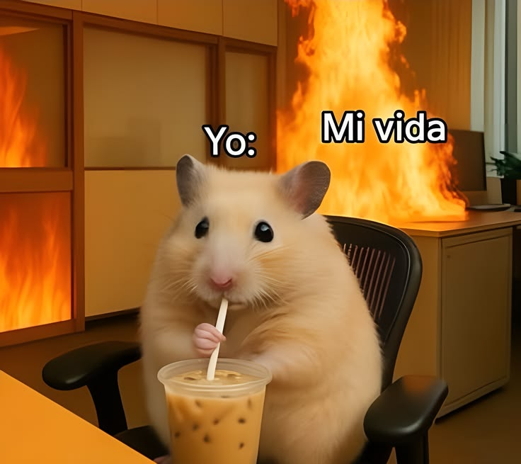 Pensamientos tweet media