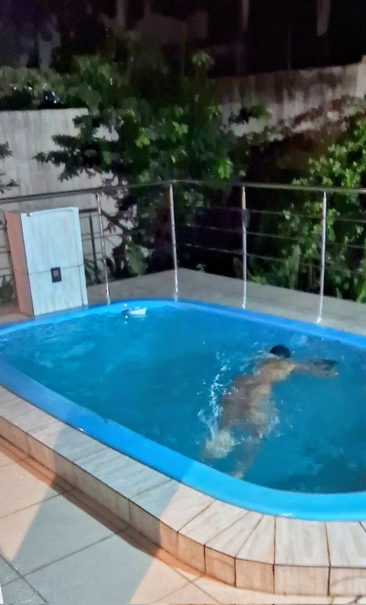 nuhostel18's tweet photo. Quem curte piscina a noite? https://t.co/jN1WTRoPYv