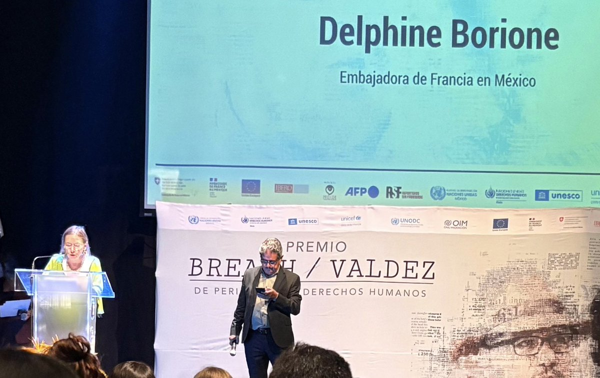 Delphine Borione tweet media