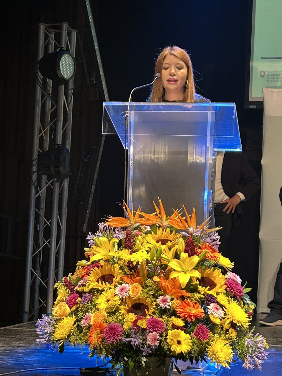 Delphine Borione tweet media