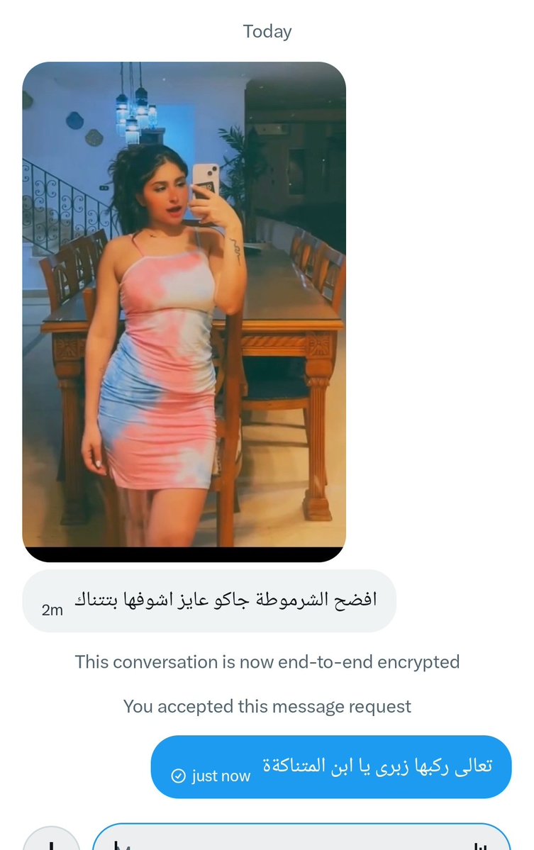 mina fashe tweet media