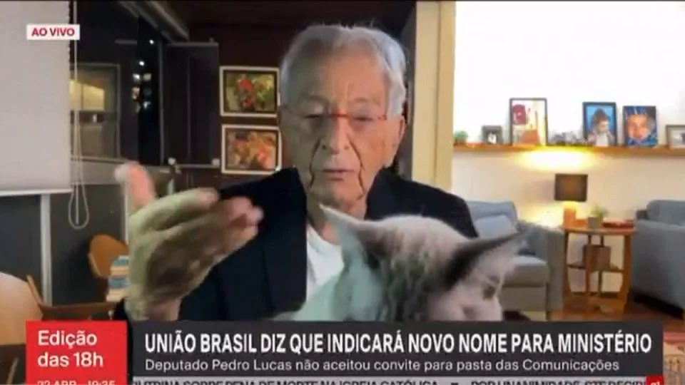 mestrona 🇵🇸 tweet media
