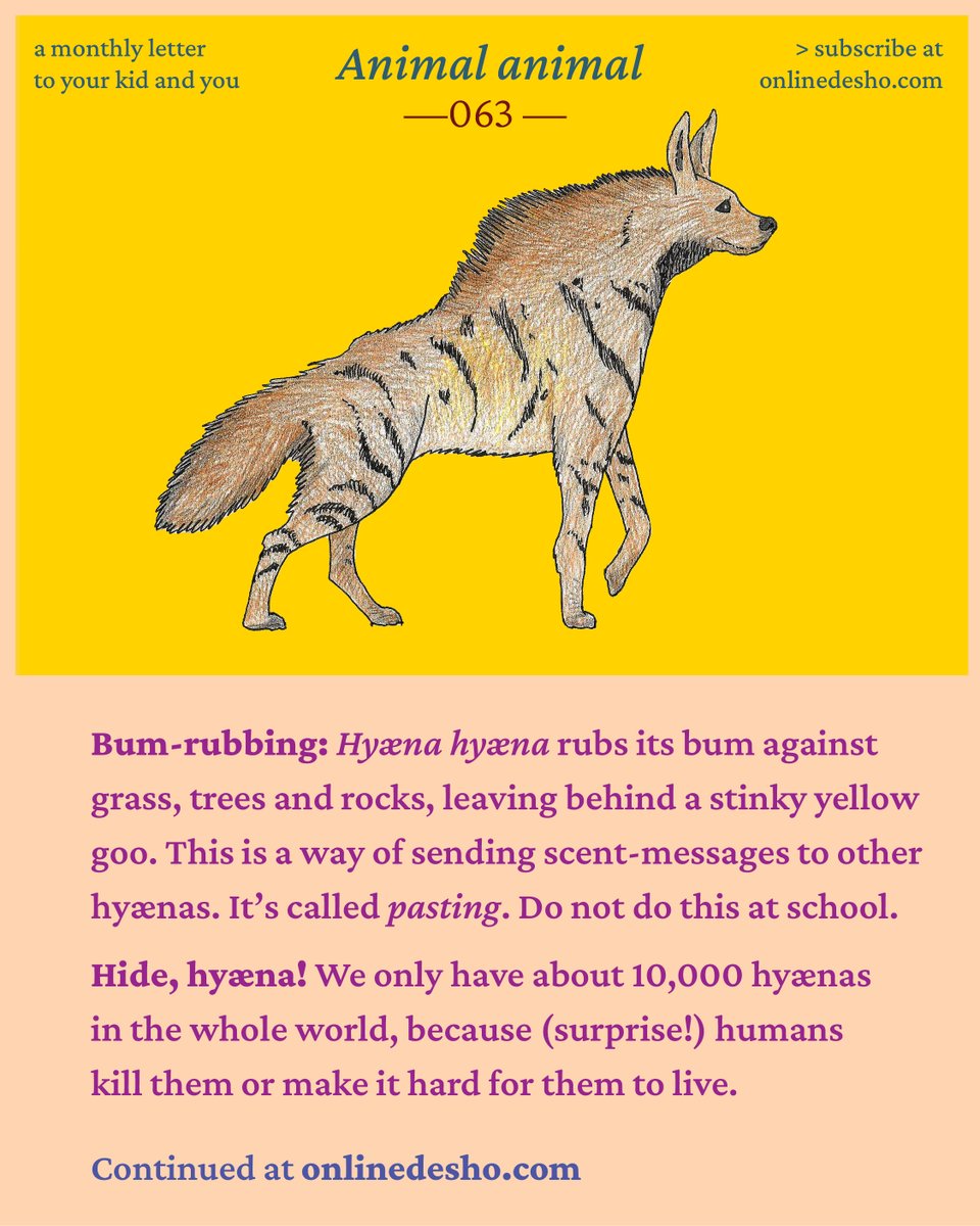 deshan10's tweet photo. It's the penultimate edition of *Animal animal* and we're meeting a scary good one this time. Introduce the kid to hyaenas. Kids love hyaenas:
https://t.co/INTWZbIR2o https://t.co/Zs02SYknvr