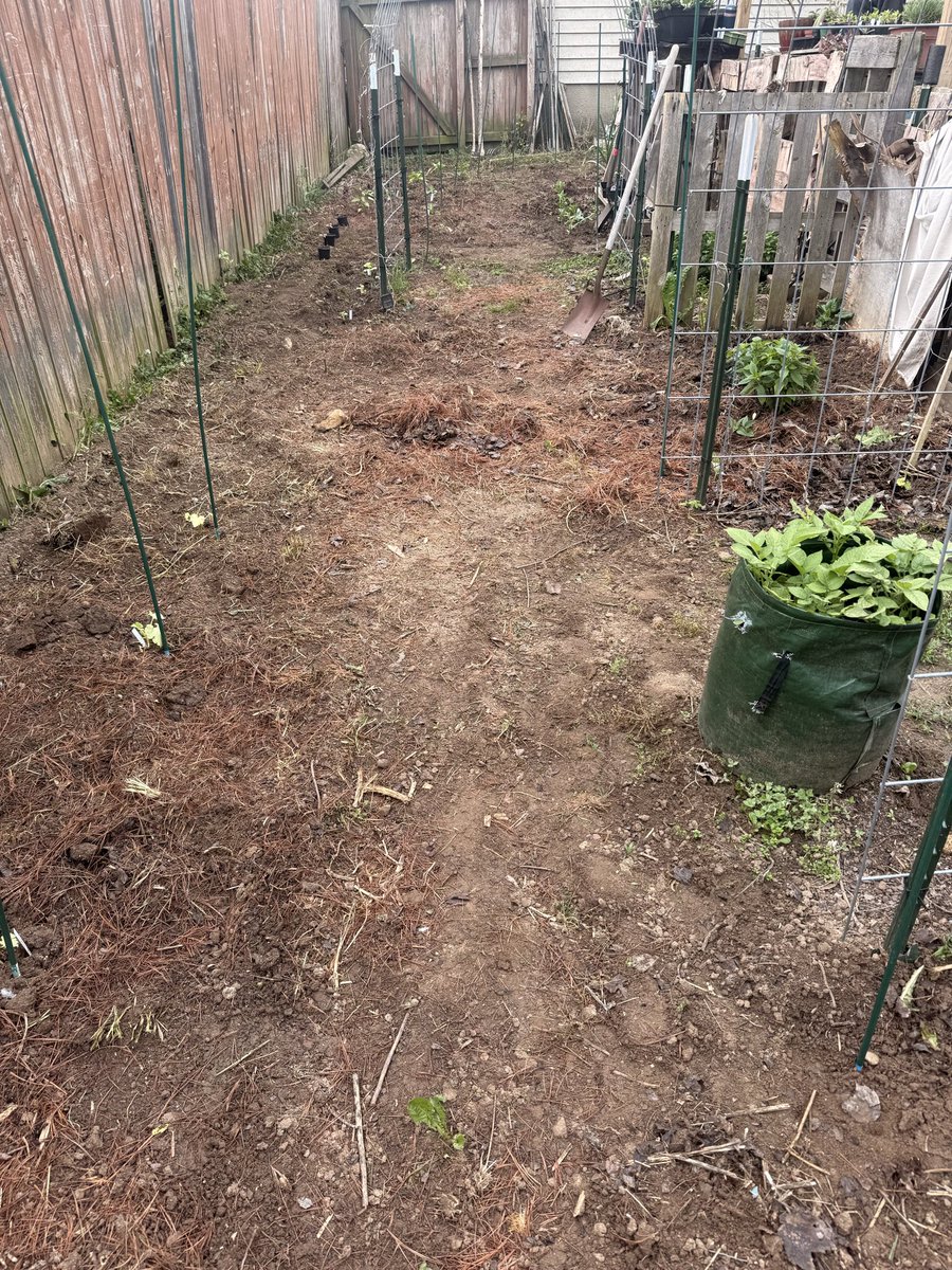 adnauseam28's tweet photo. No greenhouse this year doesn’t mean we can’t have a kick ass garden. Adding another trellis and fingers crossed we get a few hundred pounds of pumpkin! https://t.co/J3WfCOH6ru