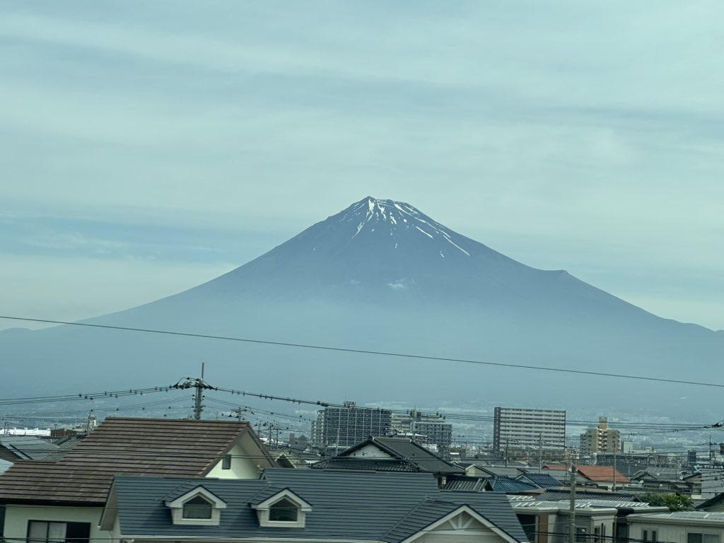 杉田 水脈 tweet media