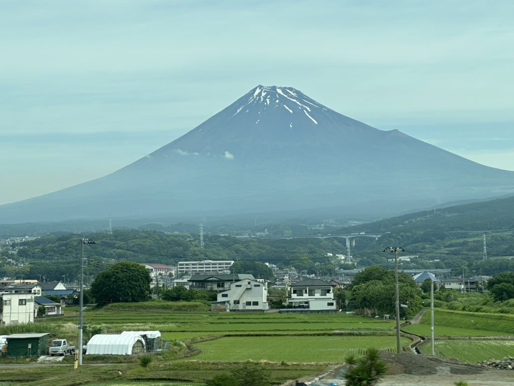 杉田 水脈 tweet media