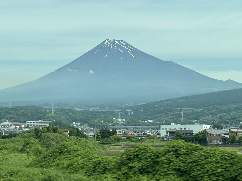 杉田 水脈 tweet media