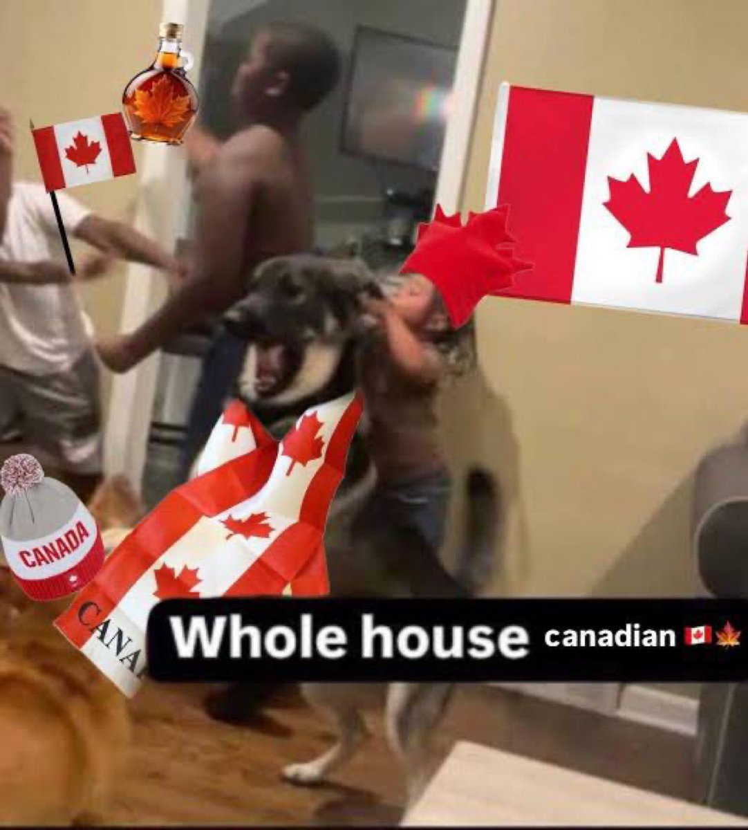 wlwzissous's tweet photo. avs in seven #forcanada https://t.co/Tn0qxh1J7P