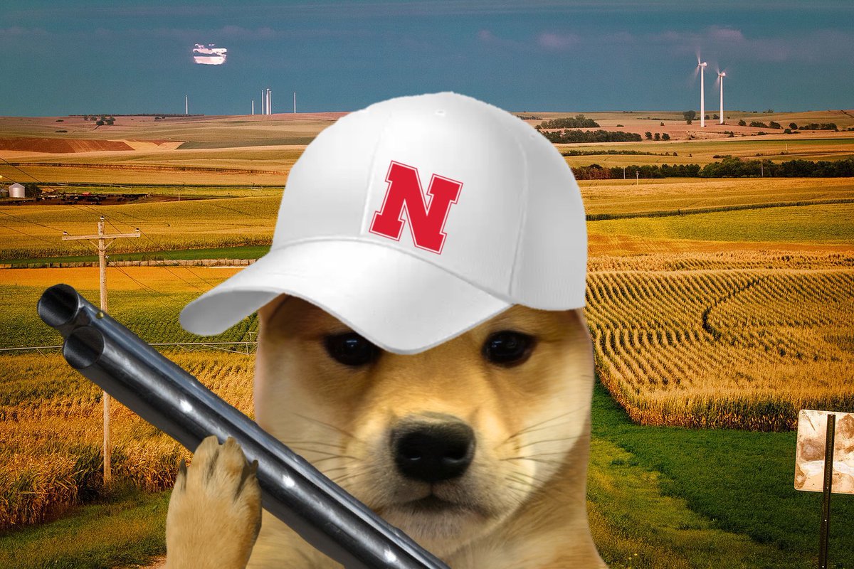 dogwifcoin tweet media