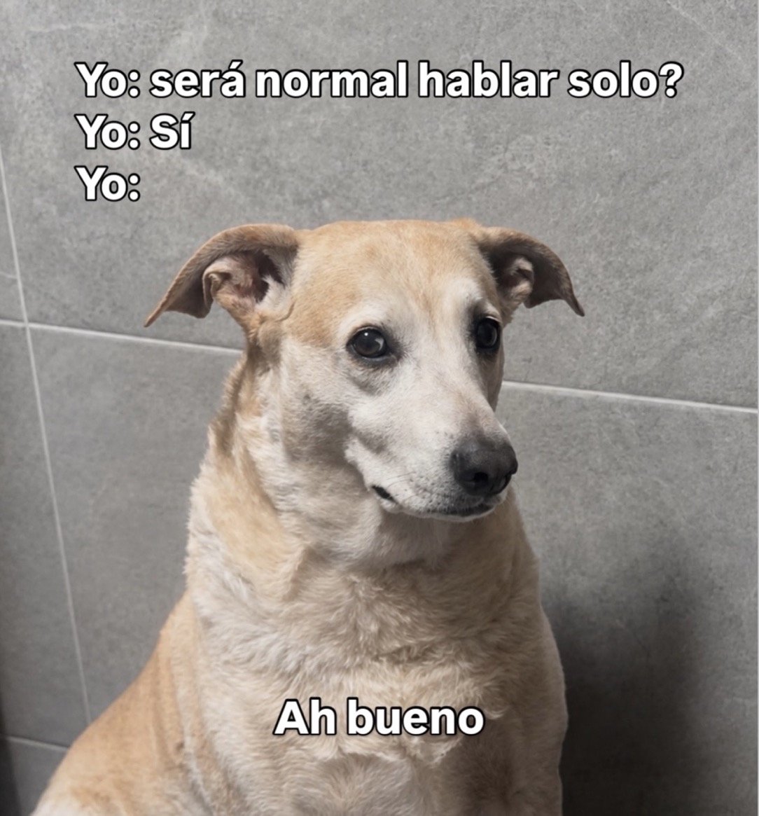 FraseSimple's tweet photo. https://t.co/Lf8sKy6a4w