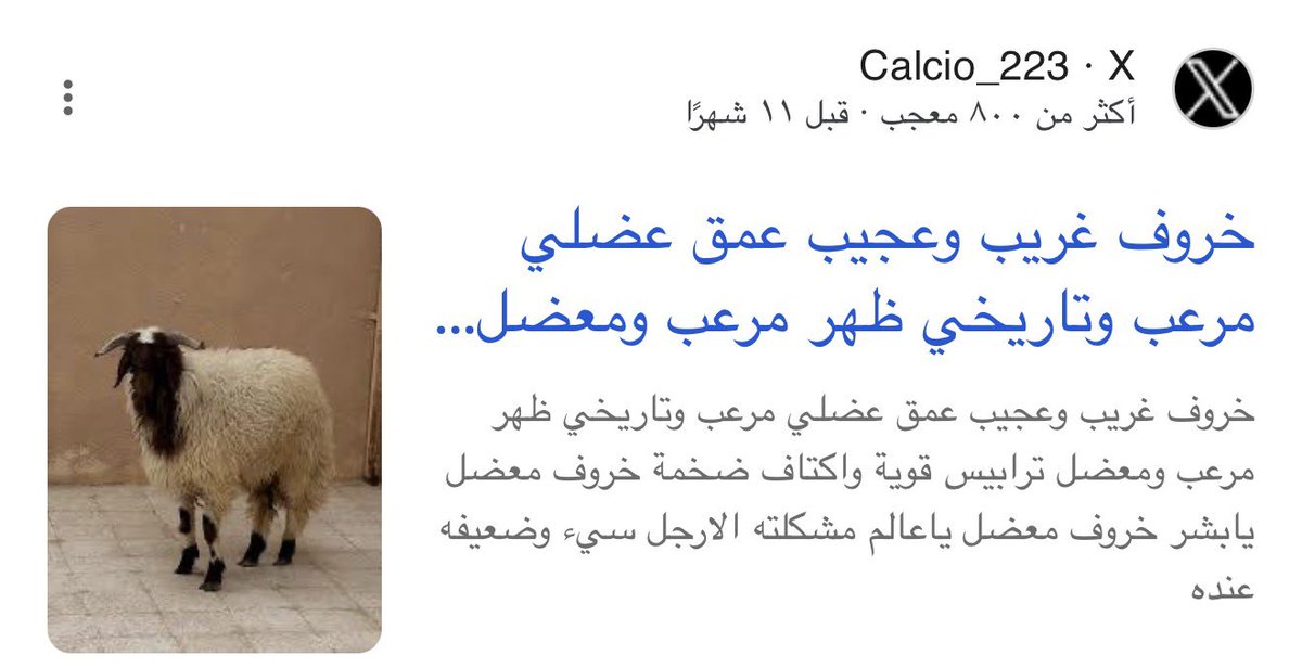 EBRA14Q's tweet photo. @Calcio_223 وانت كل سنه بتقعد تعيد السالفه ذي https://t.co/W3jfrknhvw