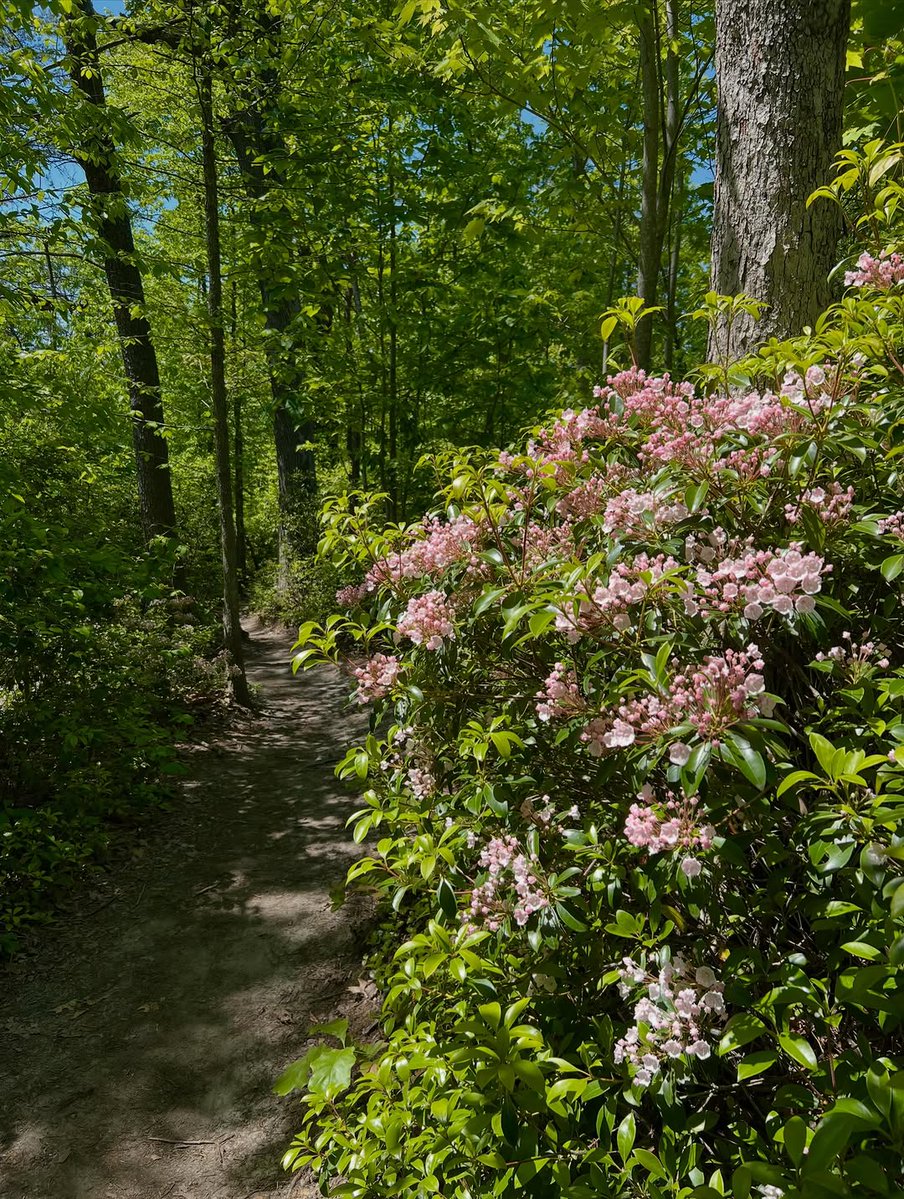 West Virginia Tourism tweet media