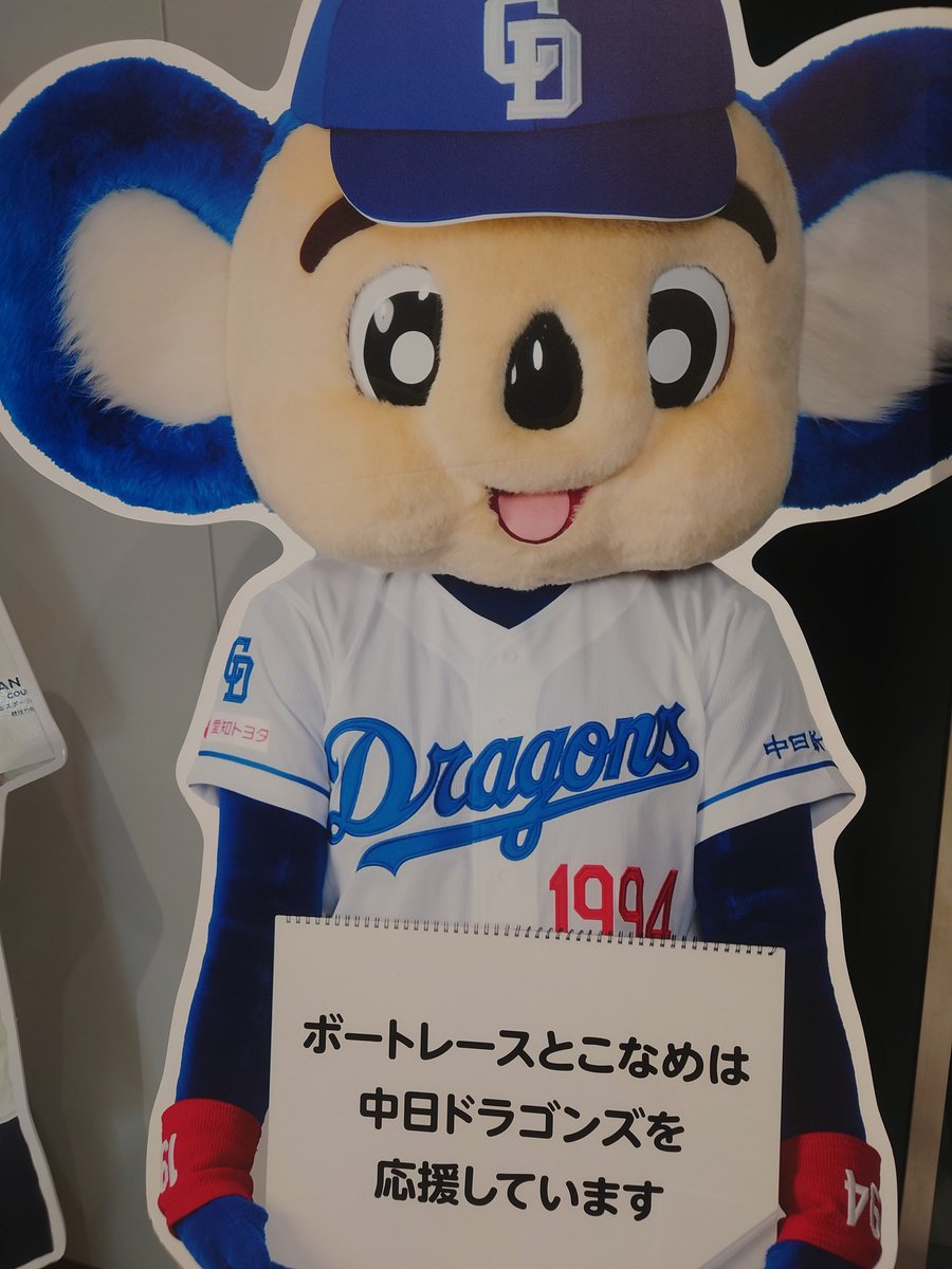 dorachan専用ページ 破壊者 ラケット