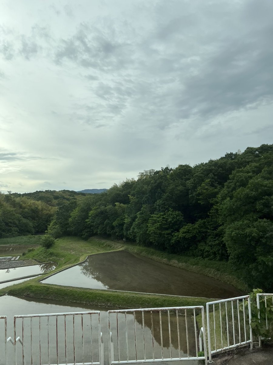 とにあ tweet media