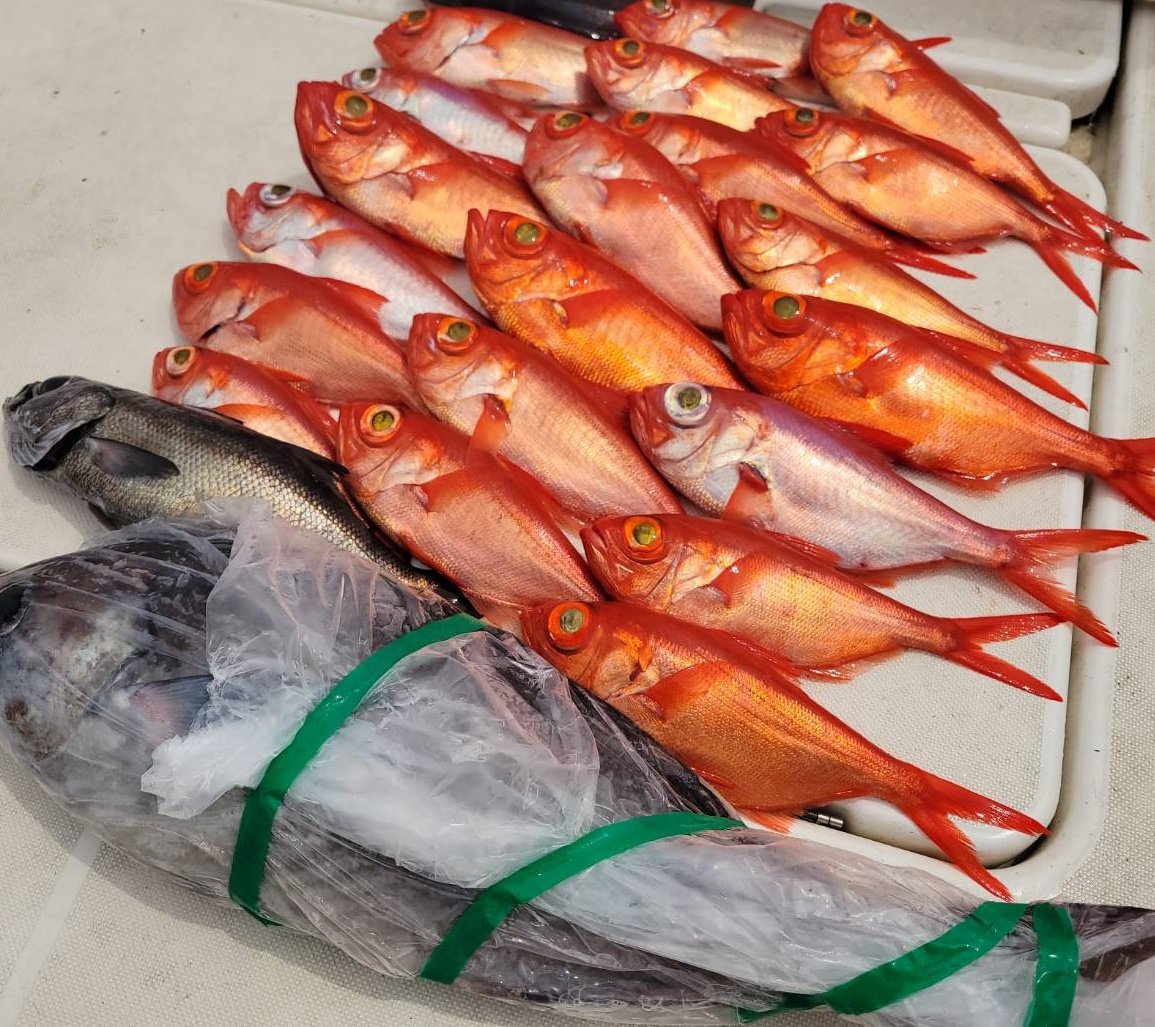 NAHO🎣🐙🐡🐱←改名 (元ヤマトさん) (@naho_NaaaHooo) / Posts / X
