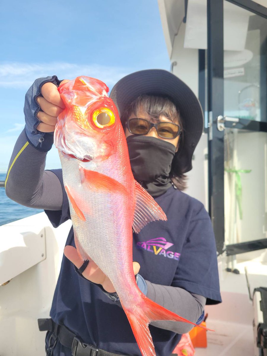 NAHO🎣🐙🐡🐱←改名 (元ヤマトさん) (@naho_NaaaHooo) / Posts / X